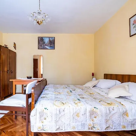 Nice In With Wifi Appartement Žminj